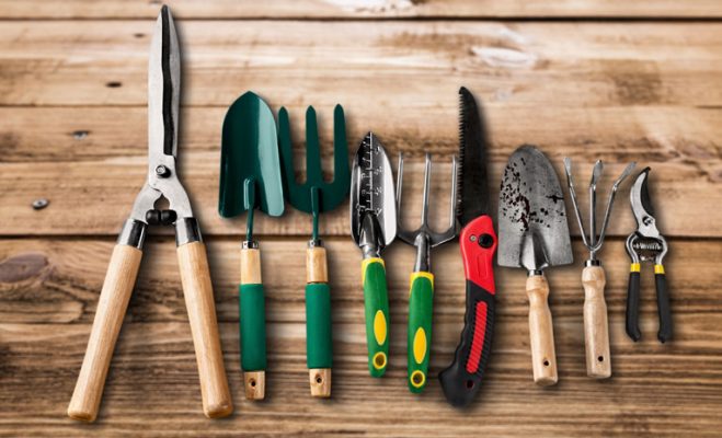 ابزارهای مهم برای باغبانی